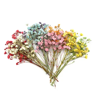 12 adet / takım Renkli Lavanta Doğal Kurutulmuş Çiçekler Bitkiler Mini Gerçek Buketleri Ev Dekorasyon Fotoğraf Sahne Sanat Zanaat