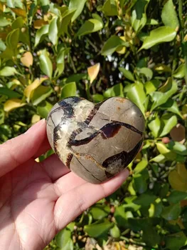 Doğal enerji taşı Kaplumbağa Antik Kaya Örneği Kalp şeklinde