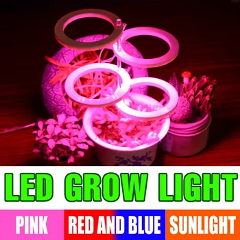LED melek Phyto ışık 5V tam spektrum hidroponik lamba 1 2 3 4 kafa kapalı bitki çiçek dikim Led ışıkları USB büyümek çadır ışıkları